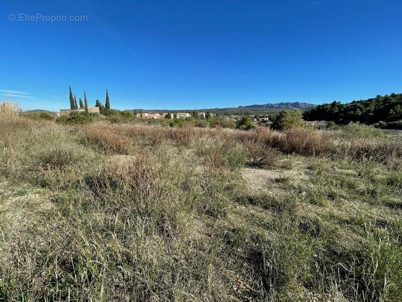 Terrain à PAZIOLS