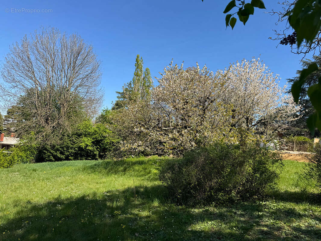 Terrain à SAINTE-FOY-LES-LYON