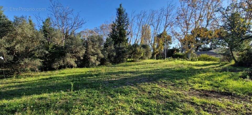 Terrain à MAUSSANE-LES-ALPILLES