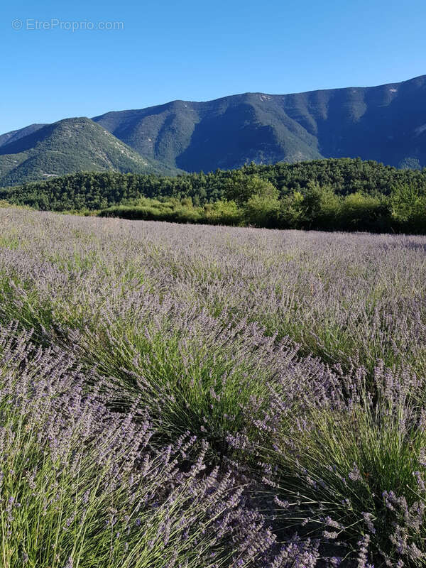 Maison à VAISON-LA-ROMAINE