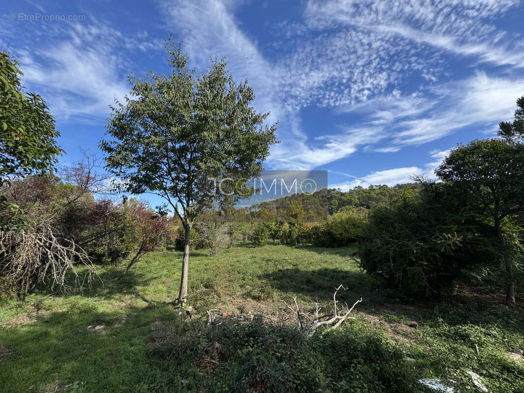 Terrain à PUGET-VILLE