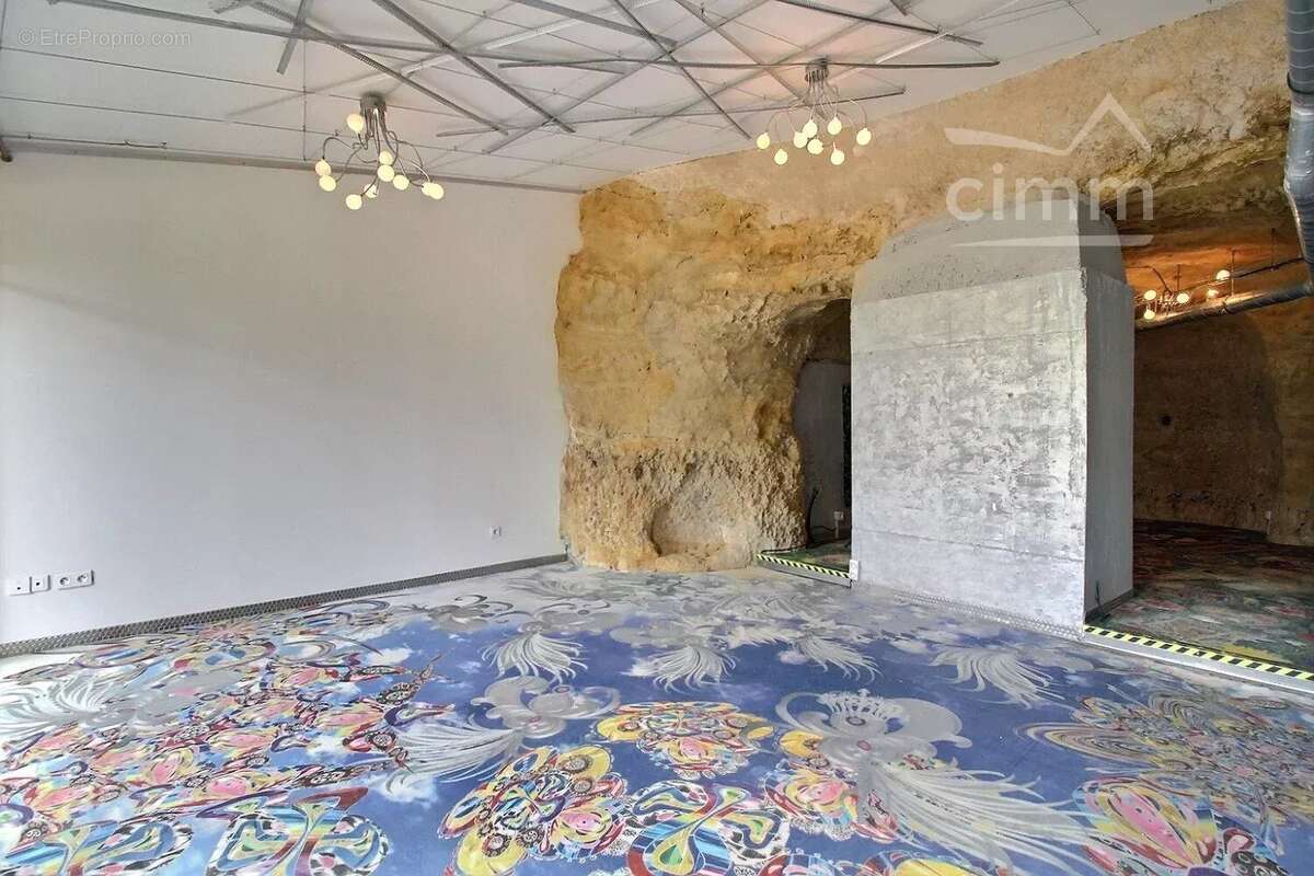 Maison à FONDETTES