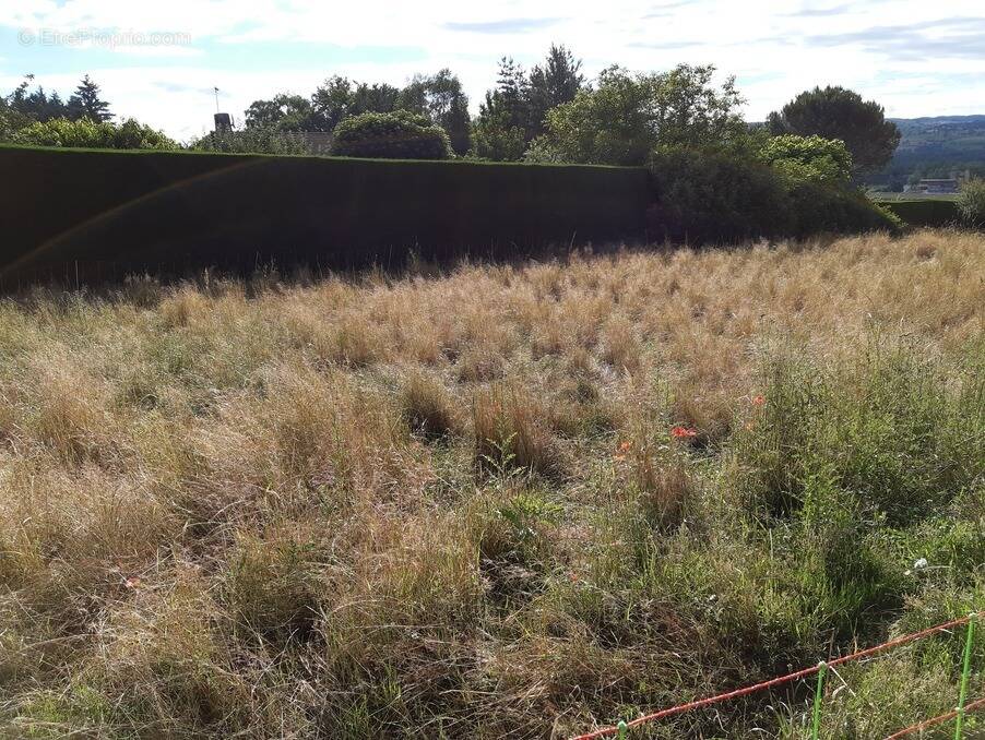 Terrain à BAS-EN-BASSET