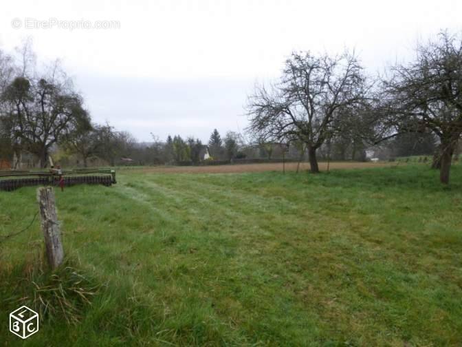 Terrain à ONJON