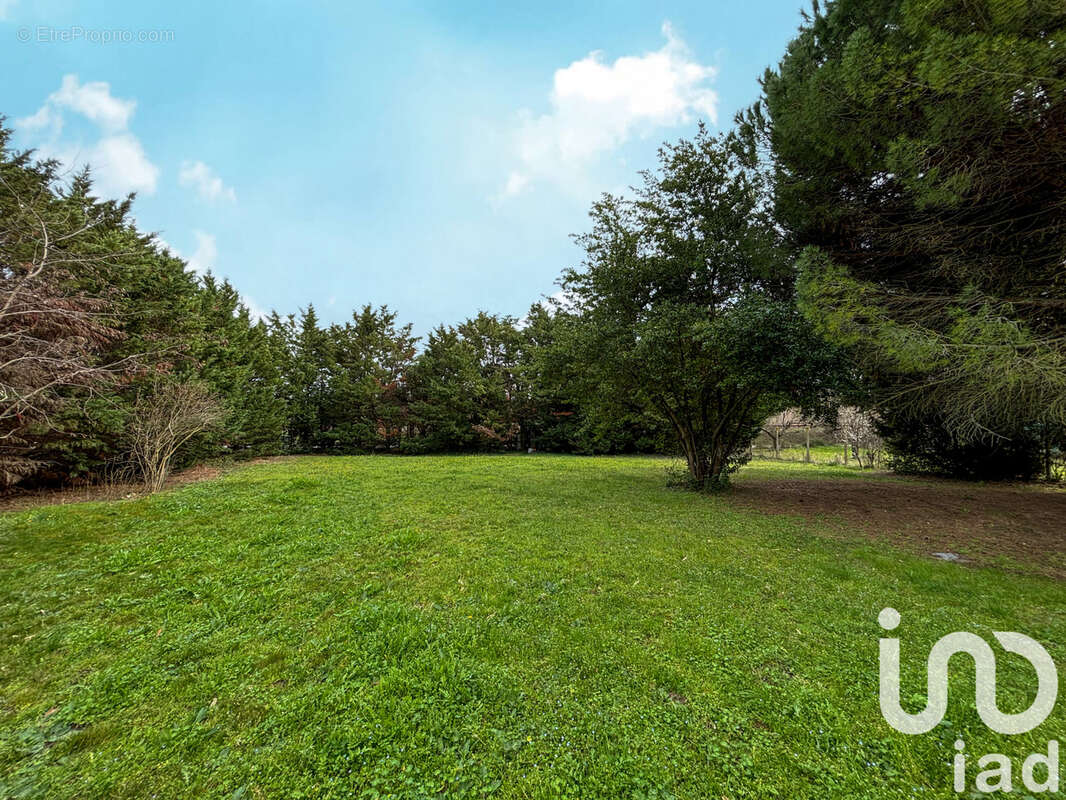 Photo 4 - Terrain à CARCASSONNE