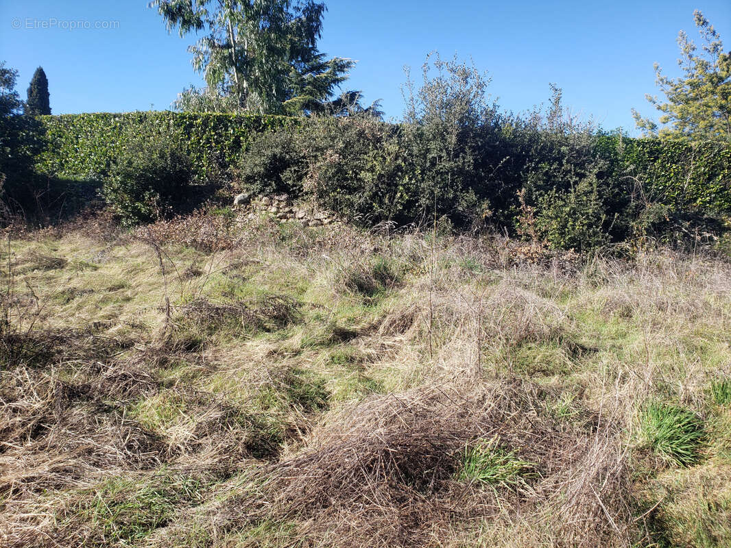 Terrain à SAINT-FORTUNAT-SUR-EYRIEUX