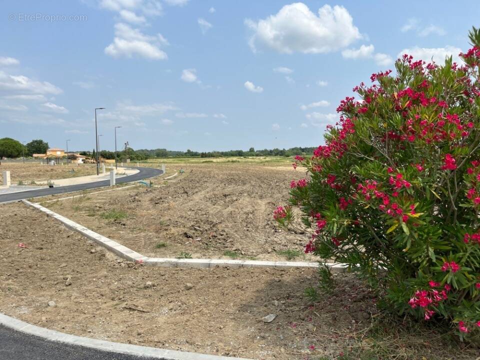 Terrain à VILLESEQUELANDE
