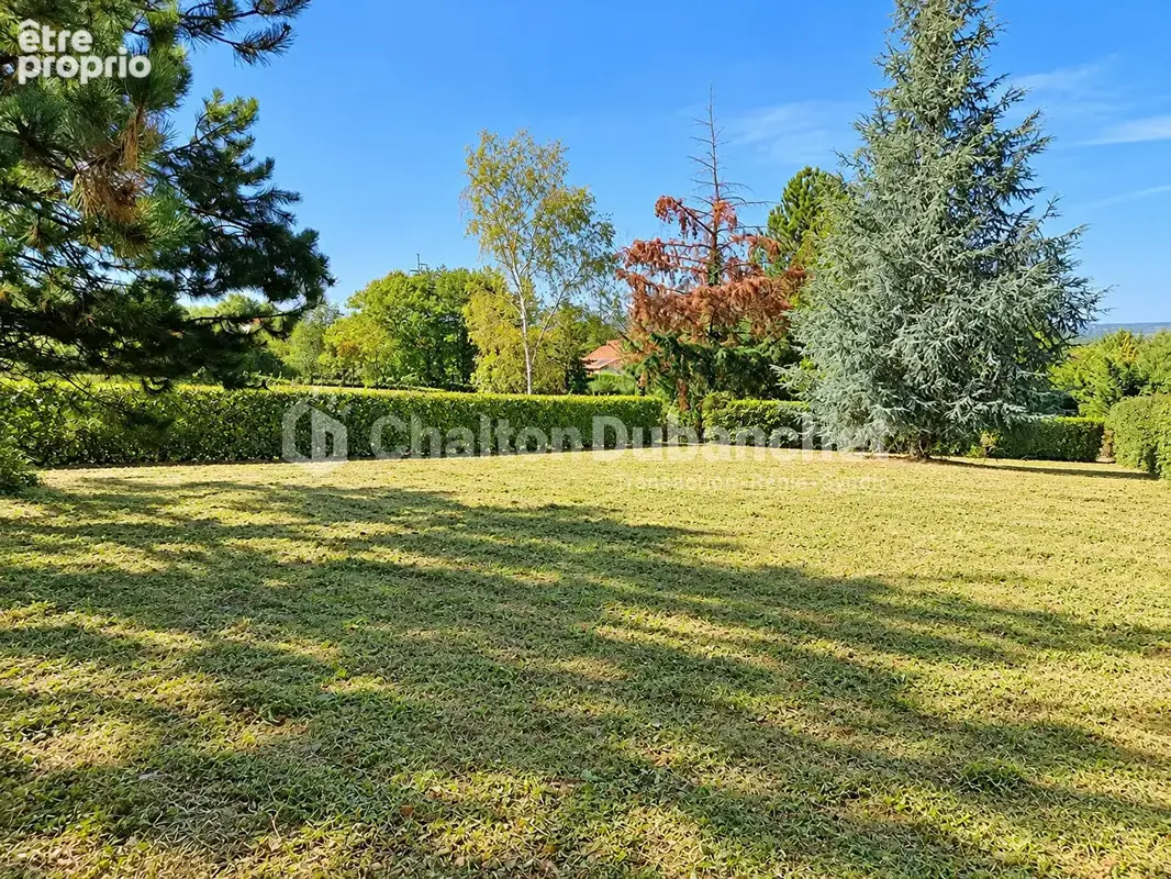 Perreux - dépôt - photo 4