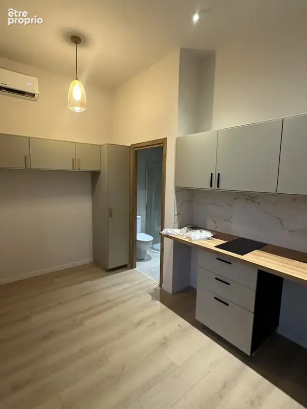 T1 + 13m2 d'extérieur   RDC   Bien rare, entièrement rénové - photo 3