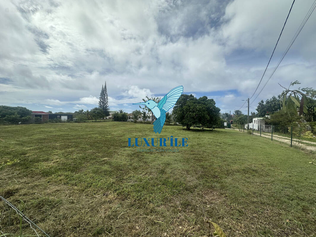 Terrain à SAINT-FRANCOIS