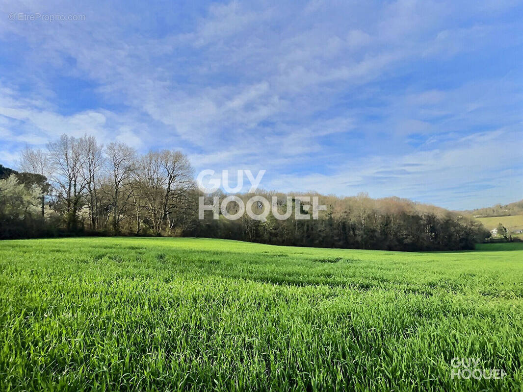 Terrain à SAINTE-COLOMBE