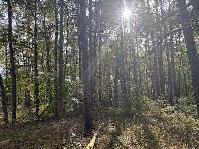 Terrain à VILLEFRANCHE-SUR-CHER