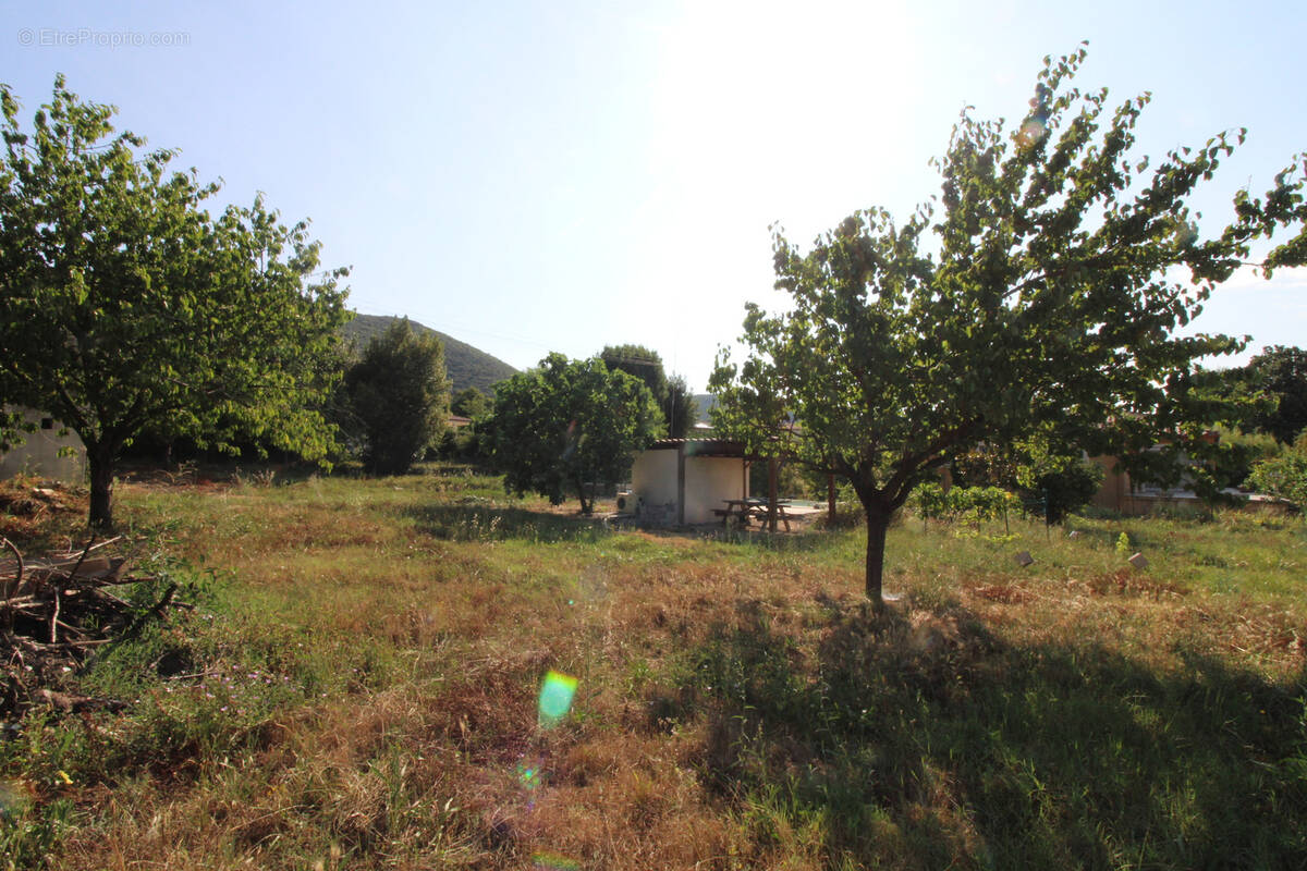 Terrain à SAINT-FLORENT-SUR-AUZONNET