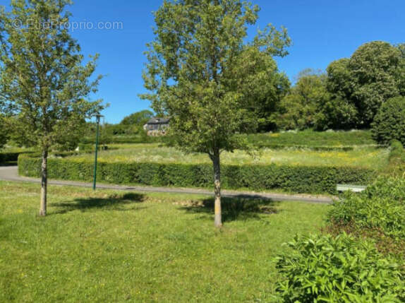 Parcelle de terrain a batir - photo 5