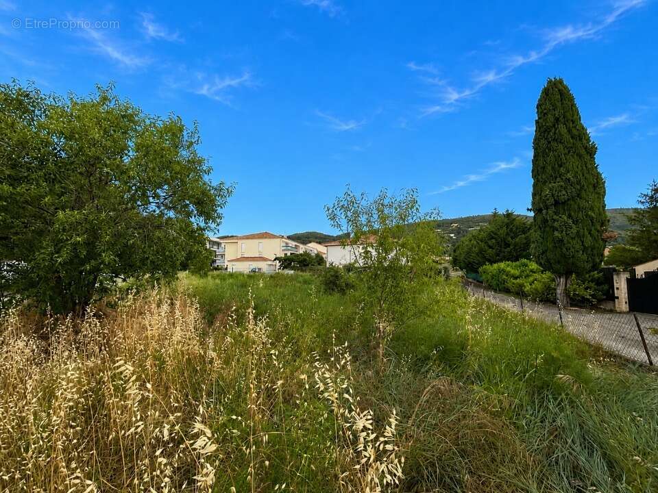 Terrain 800 m² à Draguignan  - photo 2