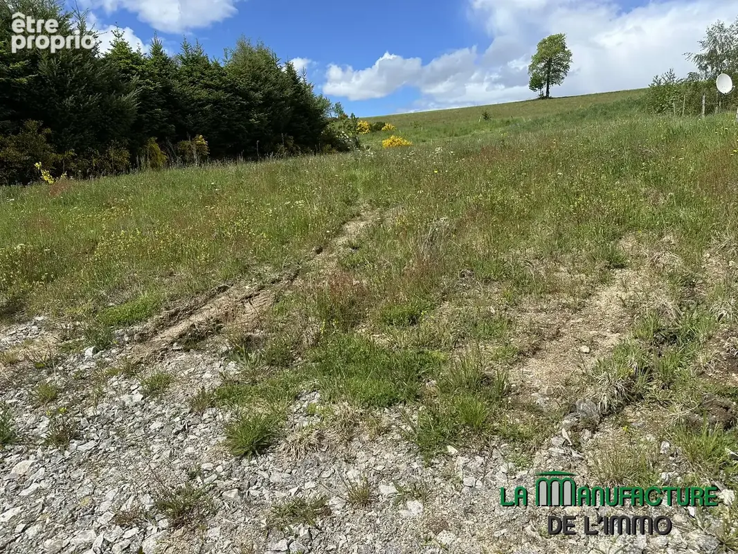 Terrain a batir - photo 15