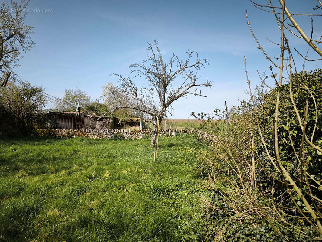Maison à BILLY-CHEVANNES