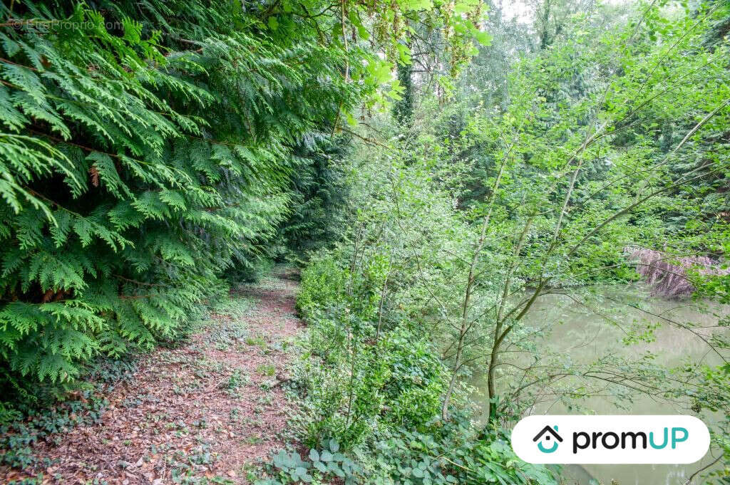 Terrain à COURMELLES