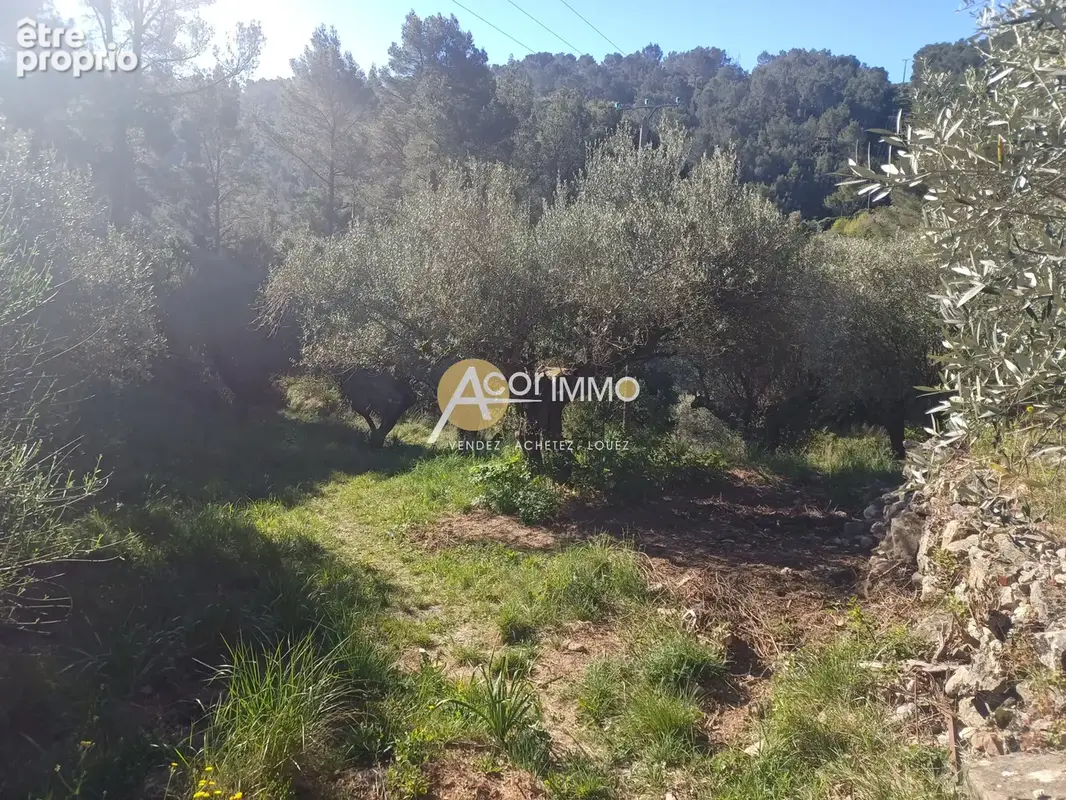 Sollies ville (var) - terrain a batir - photo 2