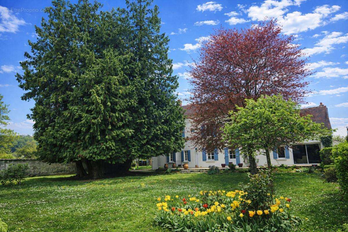 Maison 225 m² à Coulommiers  - photo 3