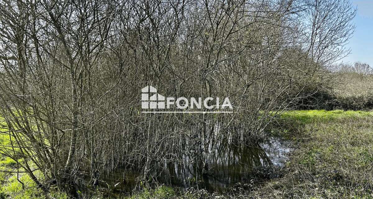 Maison à LA FERRIERE