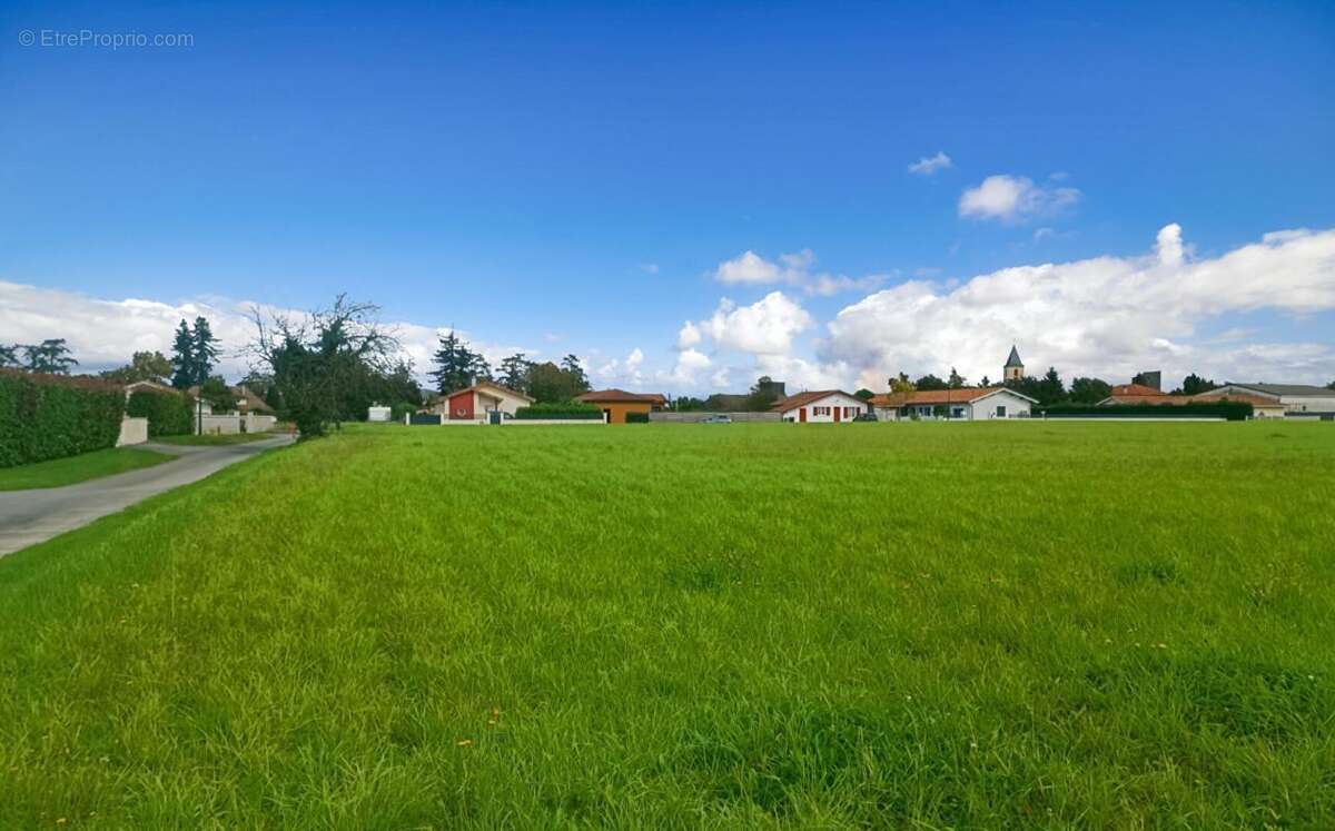 Terrain constructible 11000 m2 - photo 9