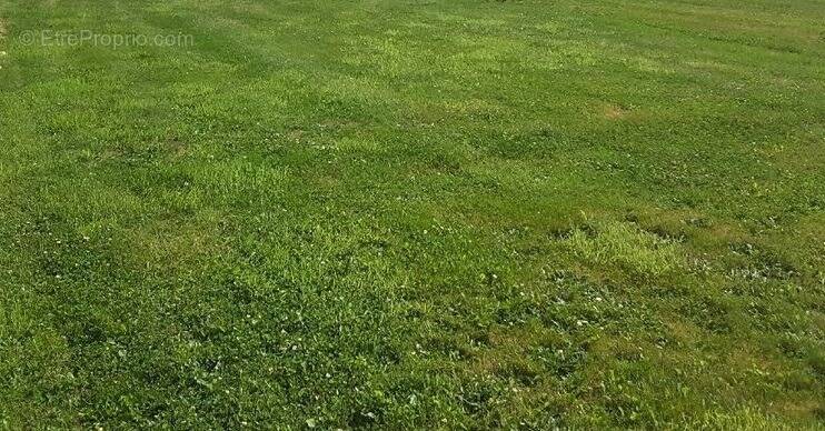 Terrain à L&#039;AIGLE