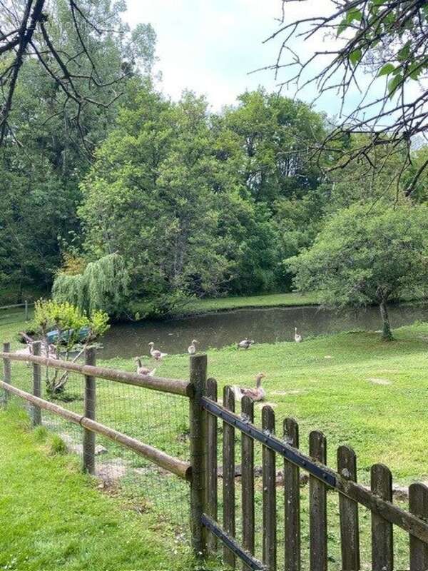 Photo 4 - Maison à LOCHES