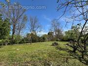 Terrain à AIGUEFONDE