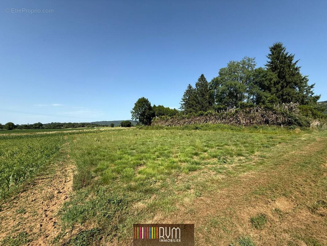 Terrain à SIMANDRE-SUR-SURAN