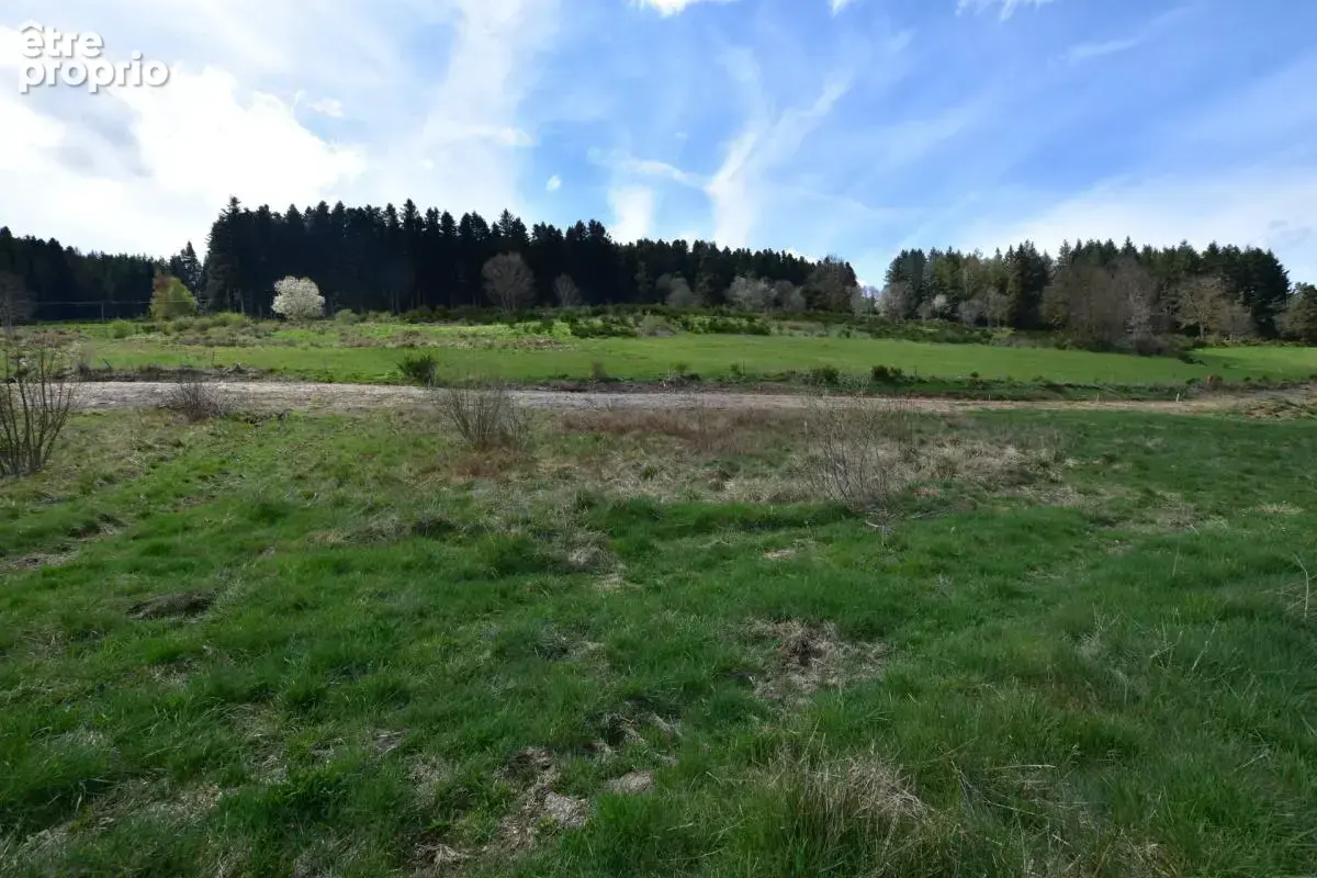 Terrain à vendre de 1 018,00 m² DUNIERES (43) Vue dégagée – Cadre paisible – Proche commodités - photo 2