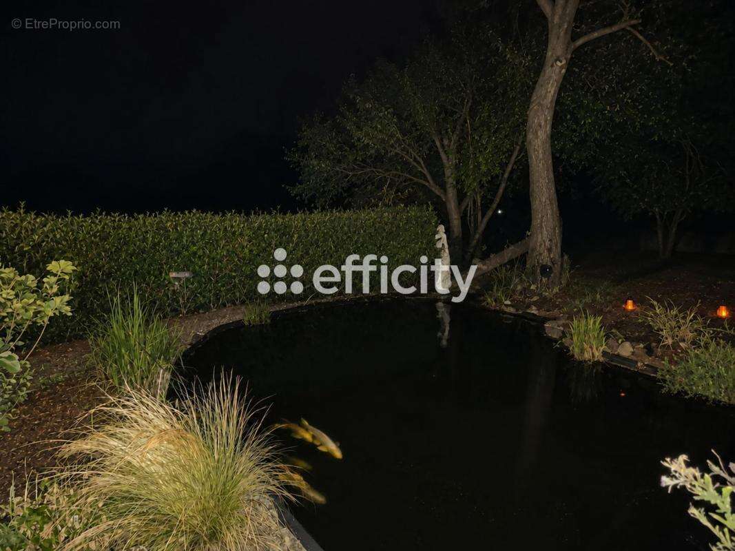 Maison en pierres - photo 6