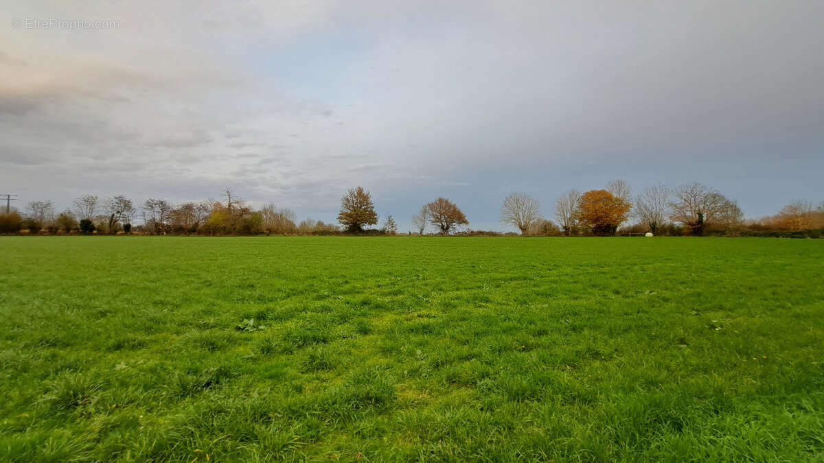 Terrain à SAINT-PARDOUX