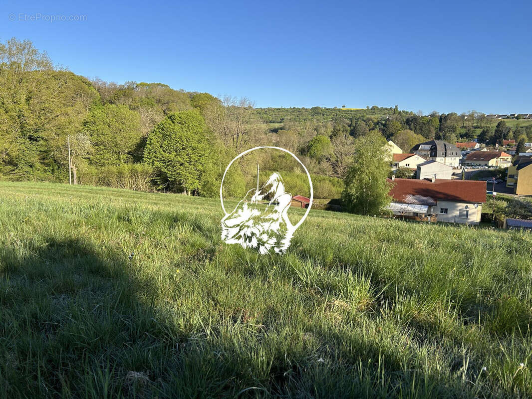 Terrain à LONGEVILLE-LES-SAINT-AVOLD