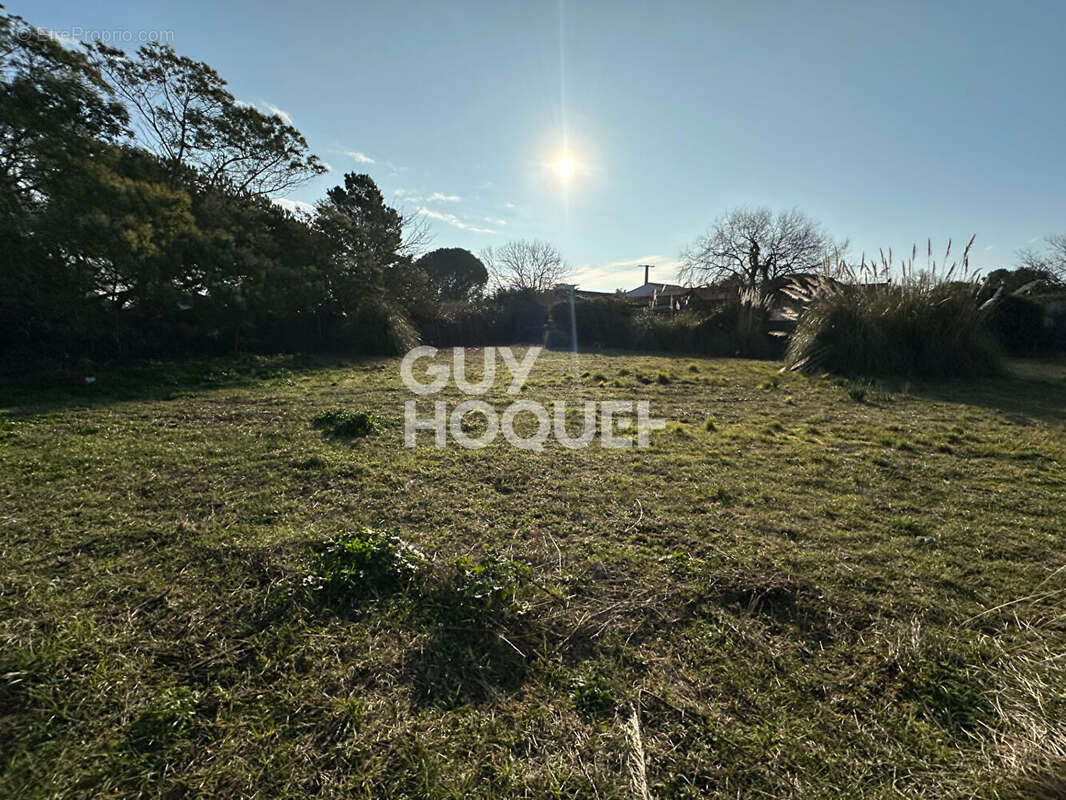 Terrain à LES PORTES-EN-RE