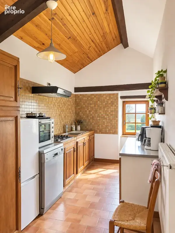 Grande propriété sur 1.7 ha de terrain - photo 13