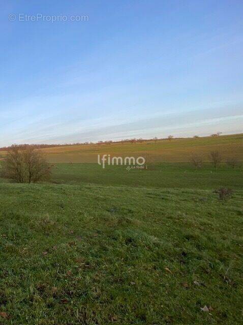 Terrain à WOELFLING-LES-SARREGUEMINES