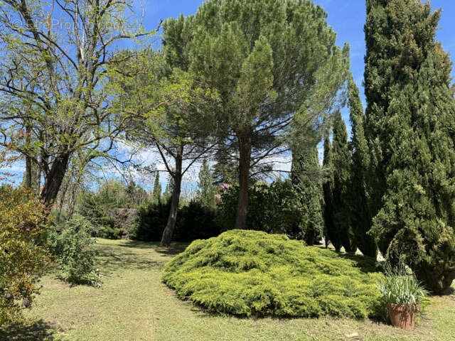 La Tour d'Aigues - Propriété de charme et de caractère du 18ième - photo 5