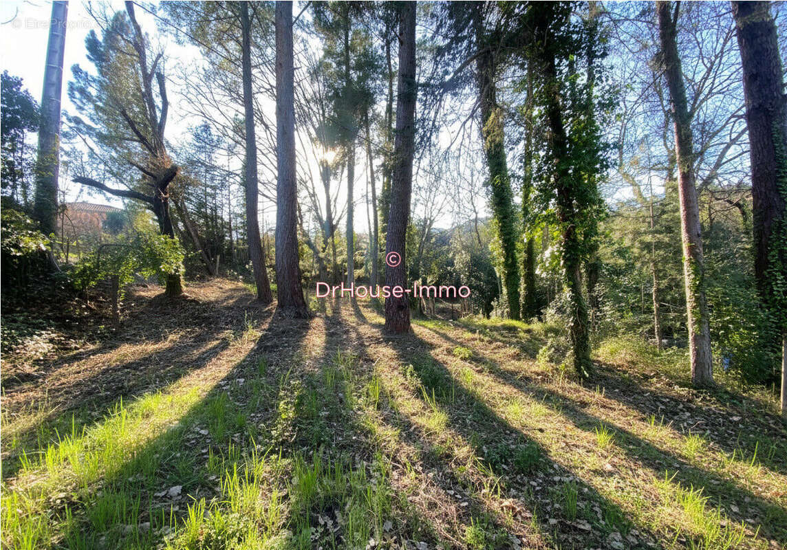 Terrain 871 m² à Mercuer  - photo 18