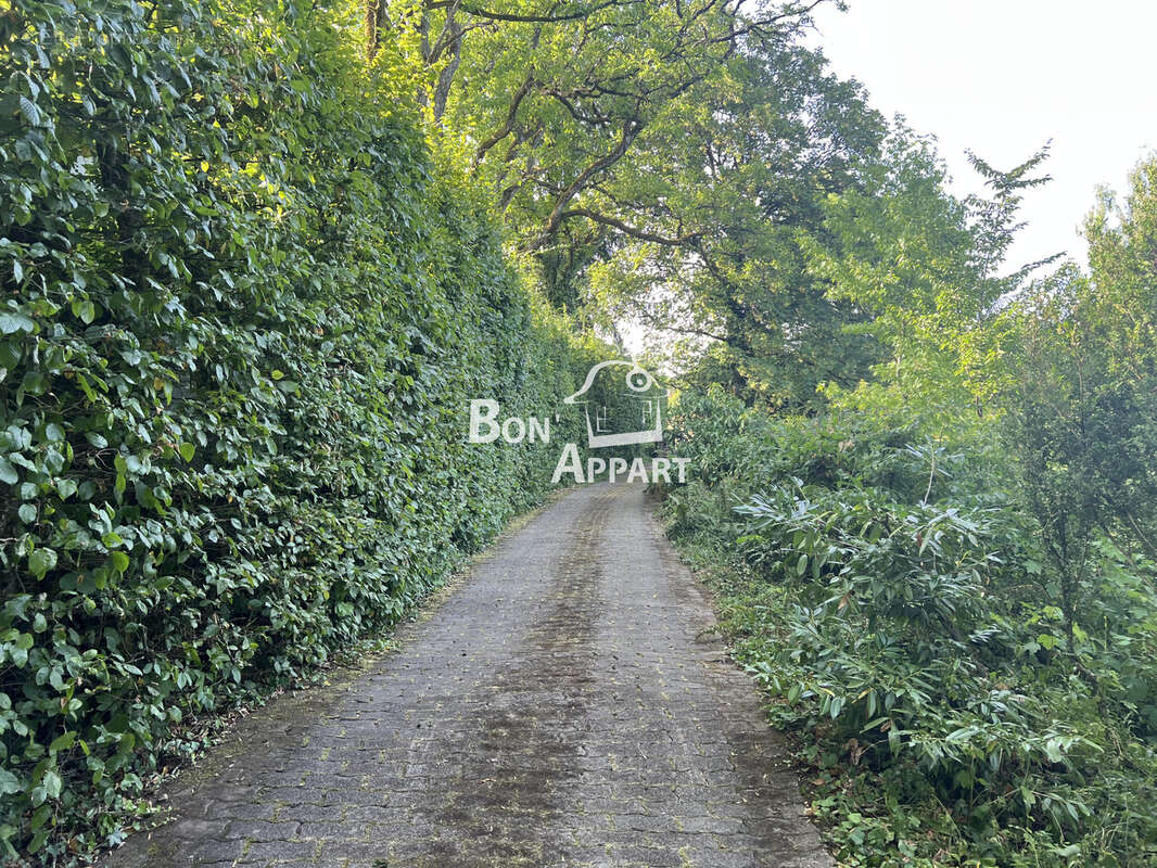 Maison en pierre 130 m2 sur 1 ha - à 30 minutes du Luxembourg entre Longwy et Longuyon - photo 7