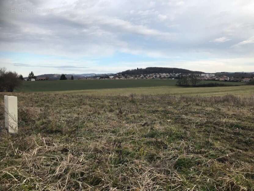 Terrain à SAINT-ETIENNE