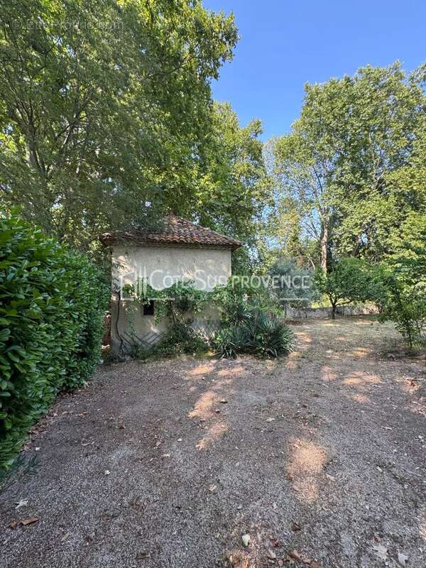 Exclusivite  - saint-didier - maison de maître xixéme - photo 8