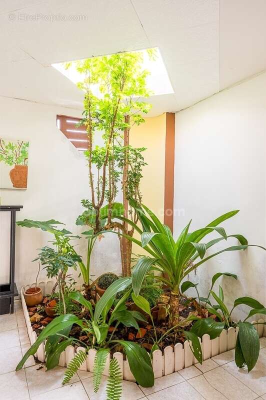 Maison à SCHOELCHER