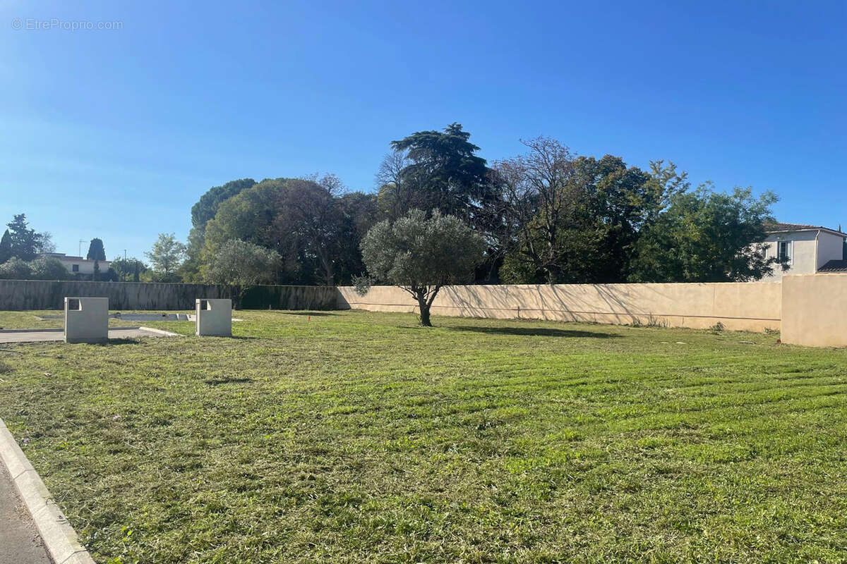 Terrain à LUNEL-VIEL