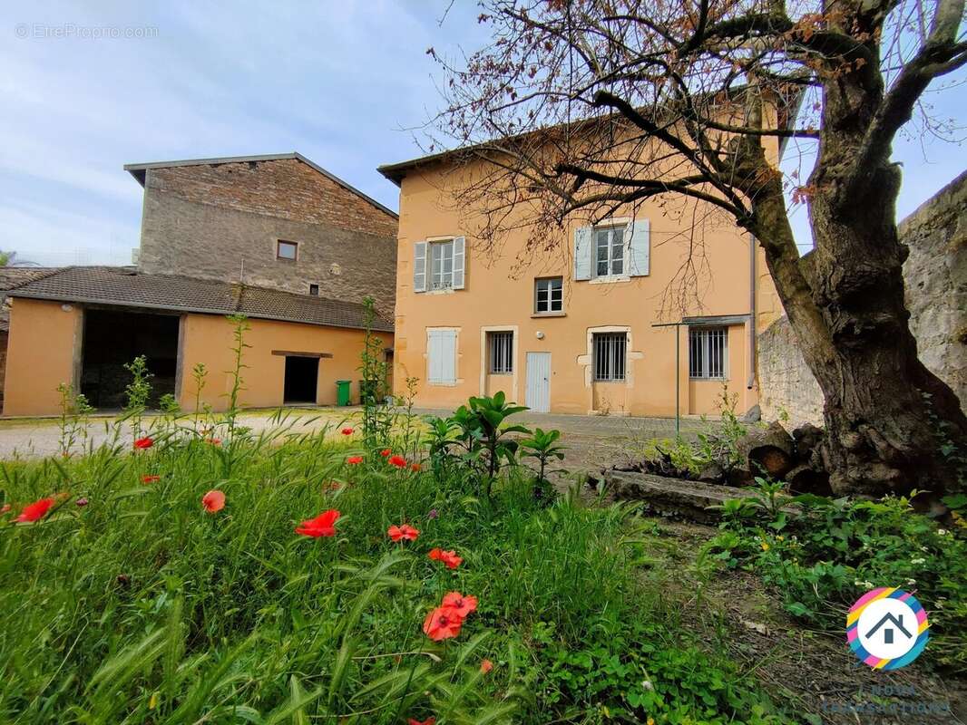 Maison à AMBERIEUX