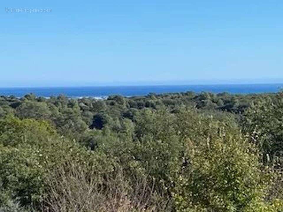 Appartement à ROQUEFORT-LES-PINS