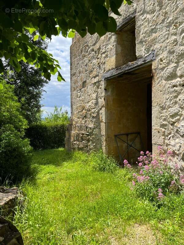 Dpt  (32) : ELEGANT CHATEAU XIX, sans travaux, bases médievales avec douves, piscine, sur 9100m2 jardin clos - photo 19