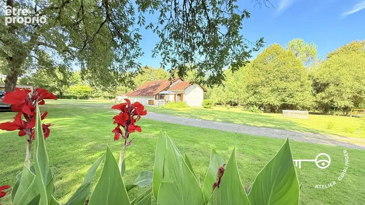 Élégance landaise et nature souveraine à 1h30 de Bordeaux - photo 4