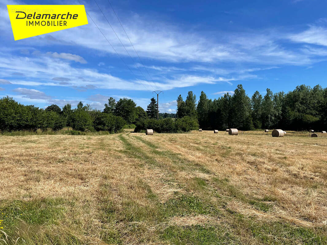 A VENDRE : Maison d'habitation en pierres en campagne avec terrain à Sainte Cécile - photo 8