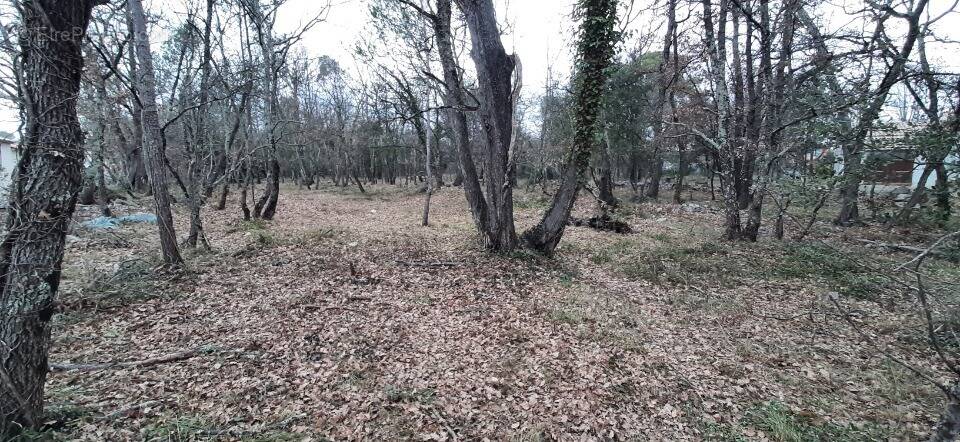 Terrain à TRANS-EN-PROVENCE